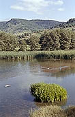 Rhodopi Mountains, Dospat Dam 